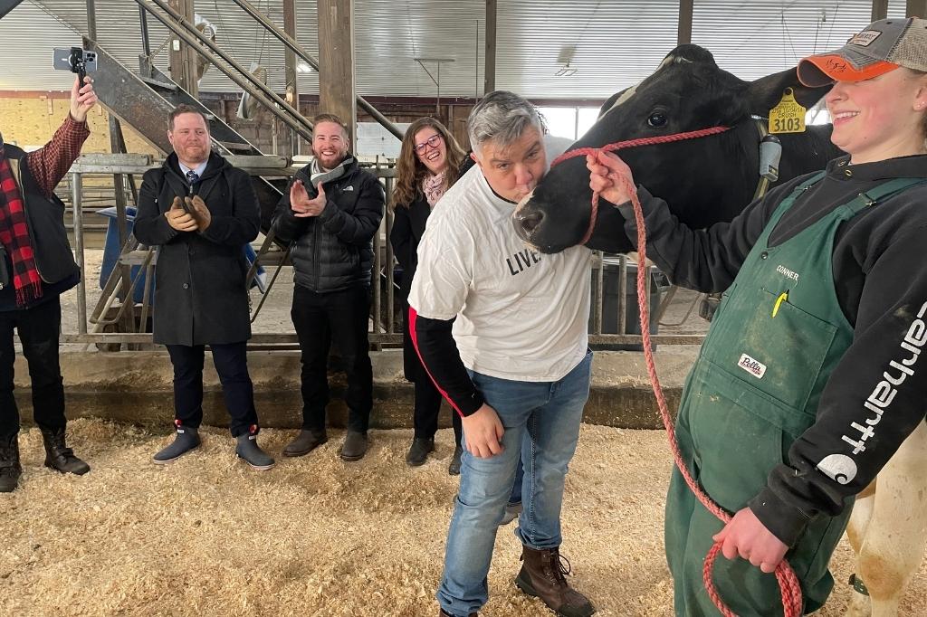 Kissing Cows for Charity