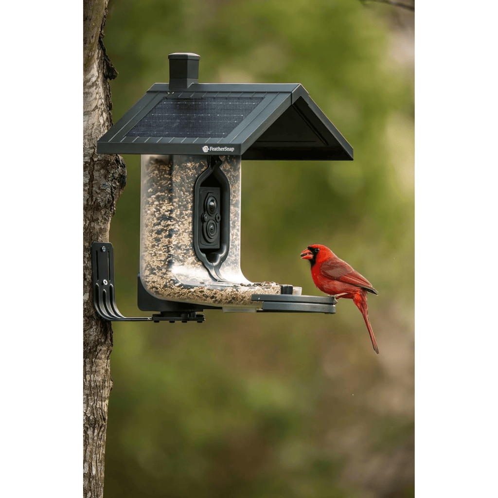 FeatherSnap Scout WiFi Solar Powered Smart Bird Feeder - Green - Lenny's Shoe & Apparel