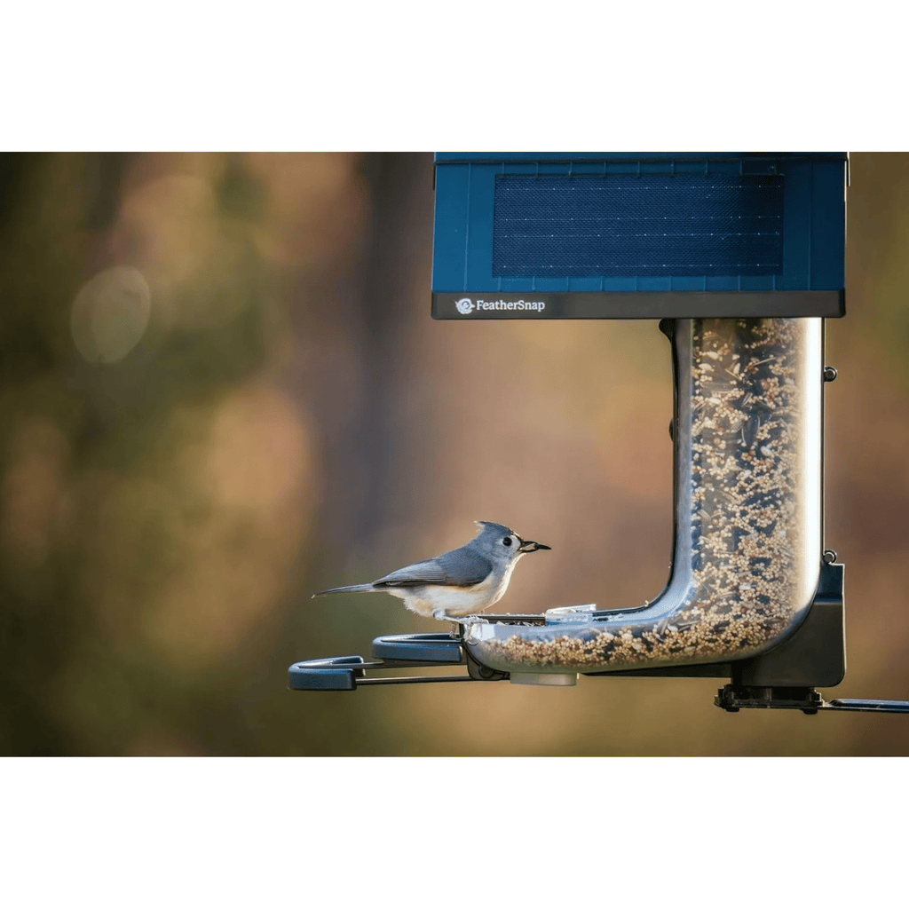 FeatherSnap Scout WiFi Solar Powered Smart Bird Feeder - Green - Lenny's Shoe & Apparel