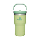 Stanley The IceFlow Flip Straw Tumbler 20 oz - Citron - Lenny's Shoe & Apparel